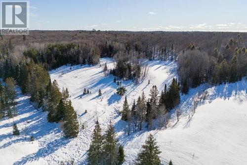 1524 Hekkla Road, Muskoka Lakes (Cardwell), ON - Outdoor With View