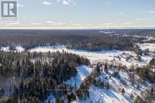 1524 Hekkla Road, Muskoka Lakes (Cardwell), ON - Outdoor With View