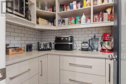 544 River Downs Avenue, Lakeshore, ON - Indoor Photo Showing Kitchen