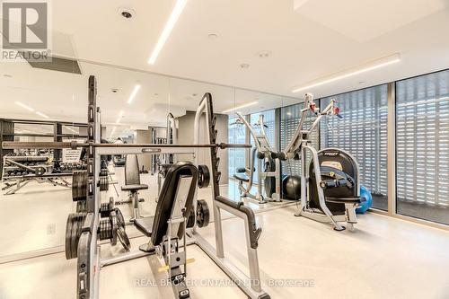 1008 - 60 Tannery Road, Toronto, ON - Indoor Photo Showing Gym Room