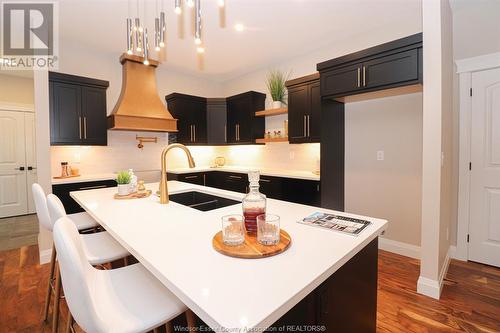 2576 Mayfair, Lasalle, ON - Indoor Photo Showing Kitchen With Double Sink