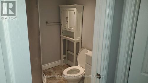 Lower - 376 Talbot Street, Hamilton, ON - Indoor Photo Showing Bathroom