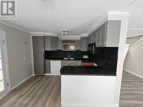 545 Nelson Ave, Sault Ste. Marie, ON - Indoor Photo Showing Kitchen