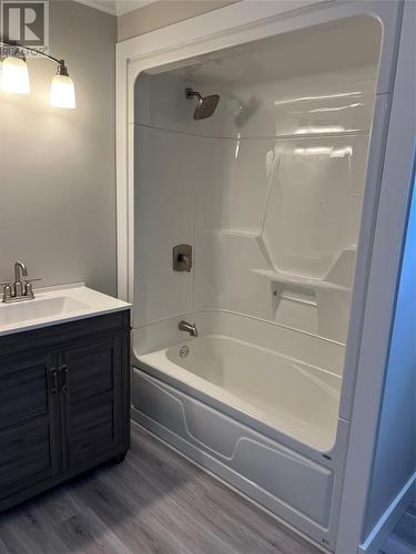 3 Christopher Drive, Conception Bay South, NL - Indoor Photo Showing Bathroom