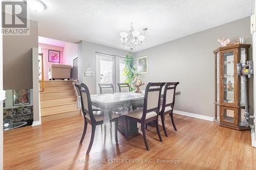 17 Ashurst Crescent, Brampton, ON - Indoor Photo Showing Dining Room