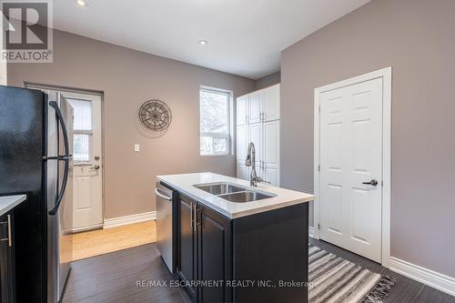 57 Century Street, Hamilton, ON - Indoor Photo Showing Kitchen With Double Sink