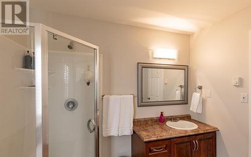 42 Julieann Place, St. John'S, NL - Indoor Photo Showing Bathroom