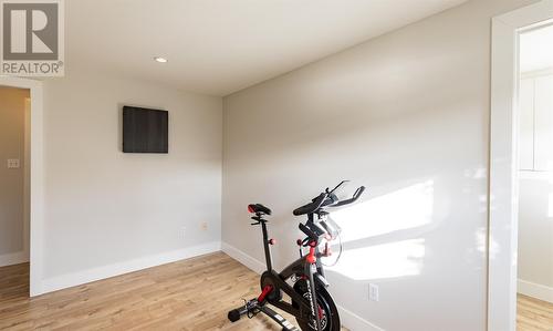 42 Julieann Place, St. John'S, NL - Indoor Photo Showing Gym Room