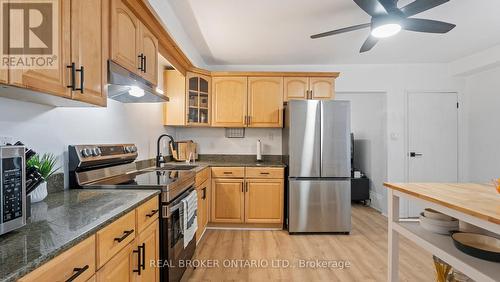 101 Murray Street, Brantford, ON - Indoor Photo Showing Kitchen With Stainless Steel Kitchen