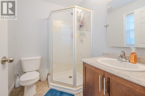 48 Otter Drive, St. John'S, NL - Indoor Photo Showing Bathroom