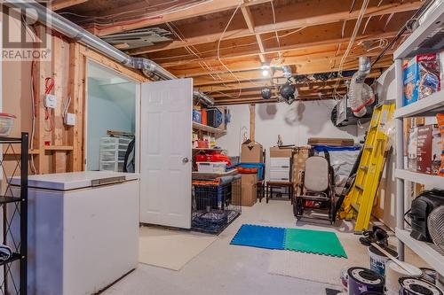 48 Otter Drive, St. John'S, NL - Indoor Photo Showing Basement