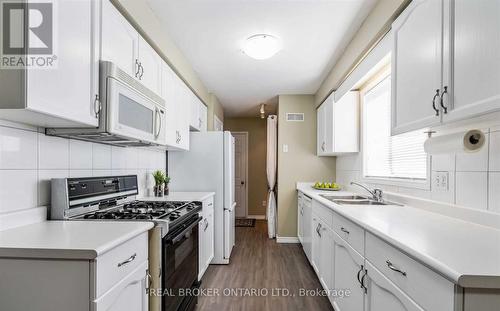 20 Elderridge Court, Hamilton, ON - Indoor Photo Showing Kitchen With Double Sink