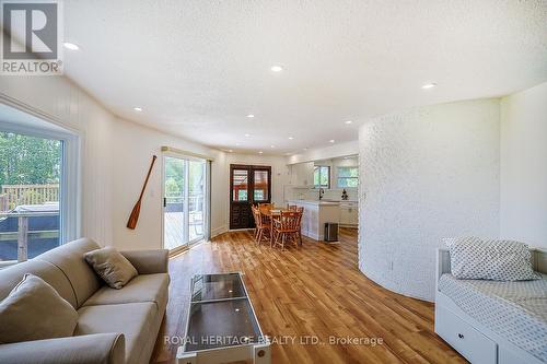 5225 Rice Lake Drive N, Hamilton Township, ON - Indoor Photo Showing Living Room