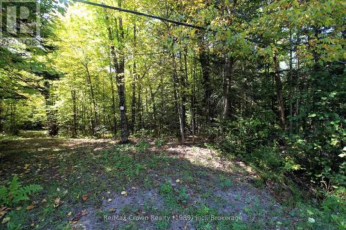 00 Lovers Lane, Parry Sound, Unorganized District (Mills), ON 