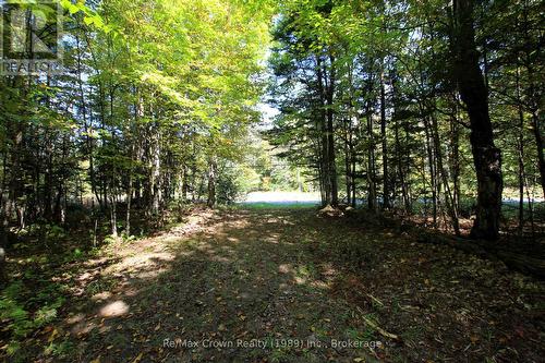 00 Lovers Lane, Parry Sound, Unorganized District (Mills), ON 