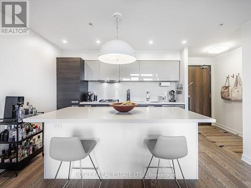 703 - 1239 Dundas Street W, Toronto, ON - Indoor Photo Showing Kitchen With Upgraded Kitchen