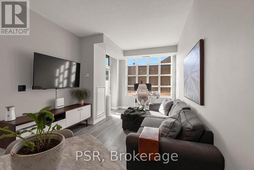 303 - 85 East Liberty Street, Toronto, ON - Indoor Photo Showing Living Room