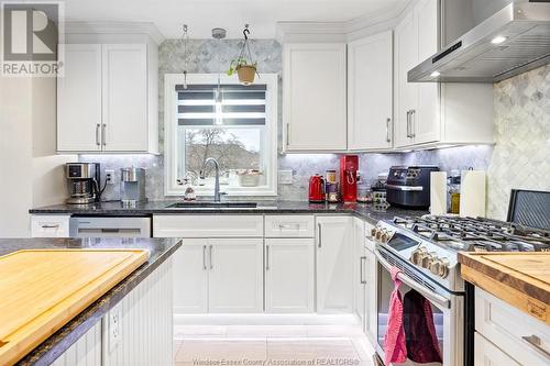 219 Beechwood Drive, Lakeshore, ON - Indoor Photo Showing Kitchen