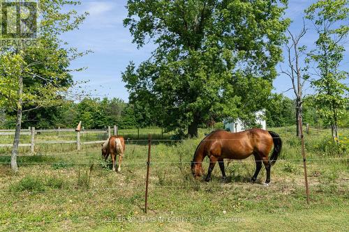 5801 Bossert Road, Niagara Falls (224 - Lyons Creek), ON - Outdoor