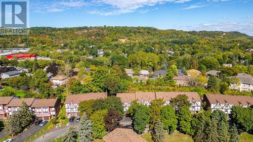 29 - 11 Burdock Lane, Hamilton, ON - Outdoor With View