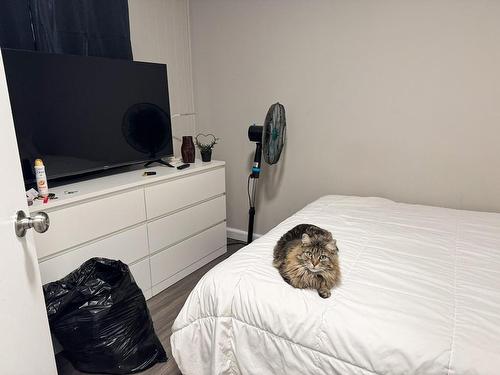 613 Park Street, Kenora, ON - Indoor Photo Showing Bedroom