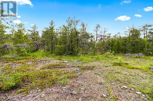 17 Dyers Bay Road, Northern Bruce Peninsula, ON 