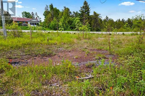 17 Dyers Bay Road, Northern Bruce Peninsula, ON 