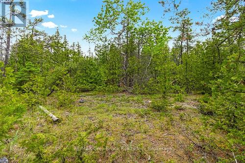 17 Dyers Bay Road, Northern Bruce Peninsula, ON 