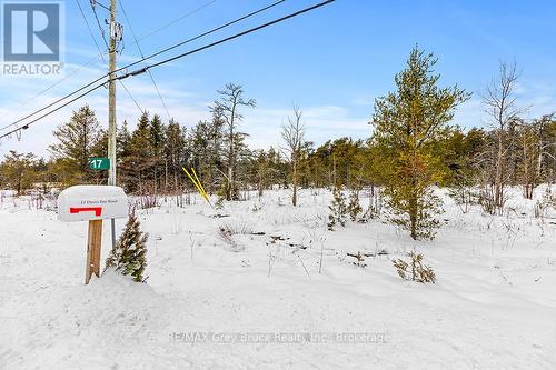 17 Dyers Bay Road, Northern Bruce Peninsula, ON 