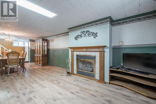 35 Wildewood Avenue, Hamilton, ON - Indoor With Fireplace