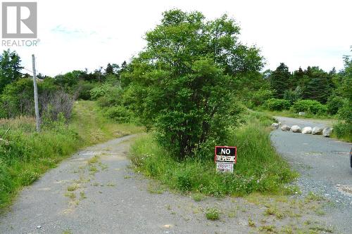 48 Rideouts Road, Conception Bay South, NL 