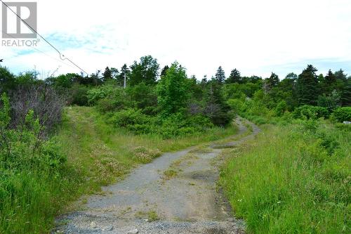 48 Rideouts Road, Conception Bay South, NL 