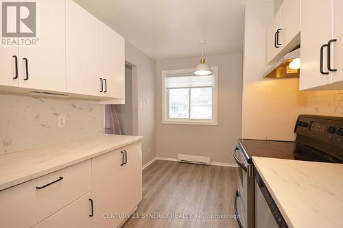 1018 Tanguay Court, Ottawa, ON - Indoor Photo Showing Kitchen