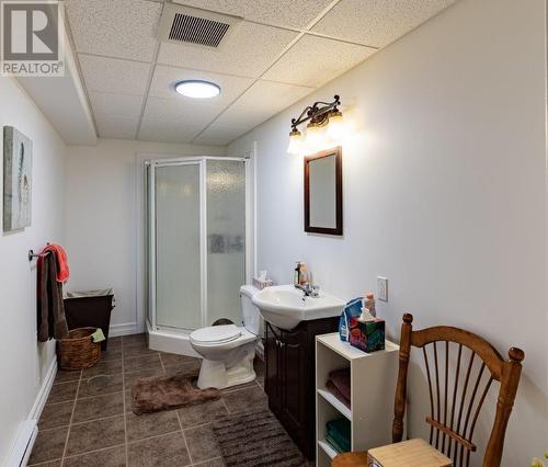 15 Everest Street, Paradise, NL - Indoor Photo Showing Bathroom