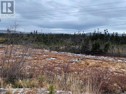 59 Fowlow Drive, Stephenville, NL - Outdoor With View