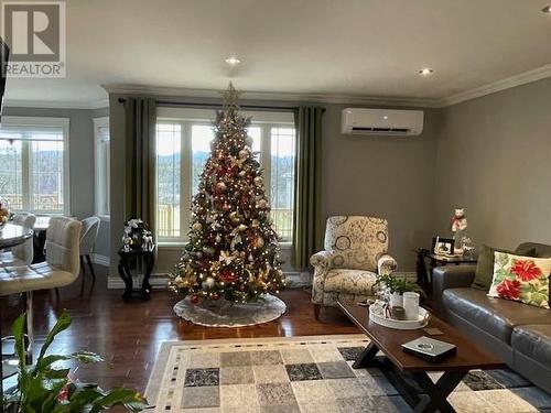 59 Fowlow Drive, Stephenville, NL - Indoor Photo Showing Living Room