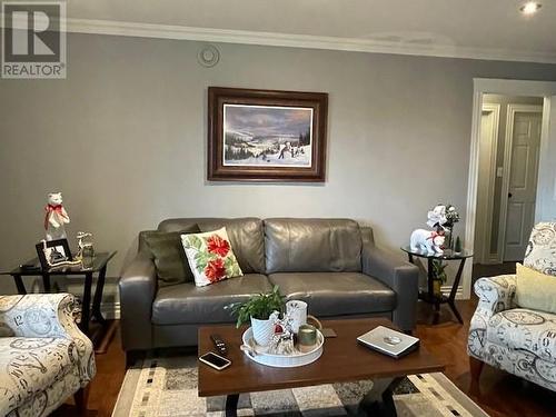 59 Fowlow Drive, Stephenville, NL - Indoor Photo Showing Living Room