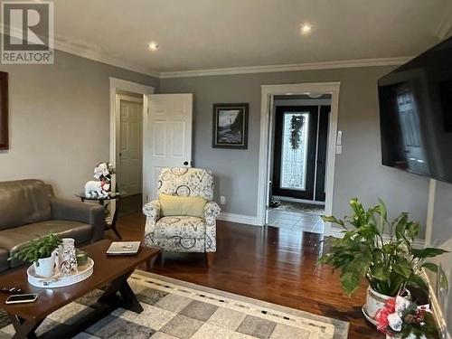 59 Fowlow Drive, Stephenville, NL - Indoor Photo Showing Living Room