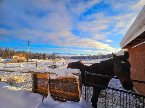 1715 Meadowbrook Settlement Road, Kimberley, BC - Outdoor With View