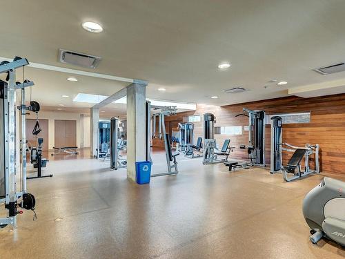 Exercise room - 801-250 Ch. De La Pointe-Sud, Montréal (Verdun/Île-Des-Soeurs), QC - Indoor Photo Showing Gym Room