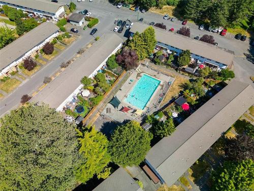 3554 Tillicum Rd, Saanich, BC - Outdoor With In Ground Pool With View