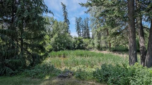 3145 Hall Road, Kelowna, BC - Outdoor With View