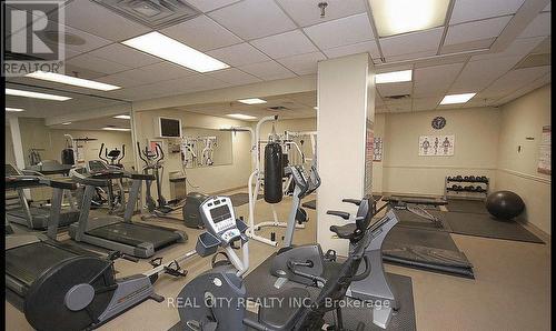 705 - 285 Enfield Place W, Mississauga, ON - Indoor Photo Showing Gym Room