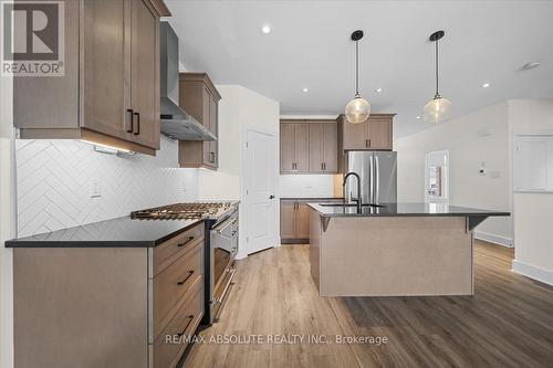 12 Elmer West Street, Mississippi Mills, ON - Indoor Photo Showing Kitchen With Upgraded Kitchen