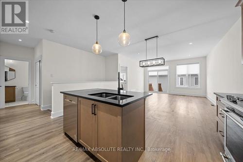 12 Elmer West Street, Mississippi Mills, ON - Indoor Photo Showing Kitchen With Double Sink