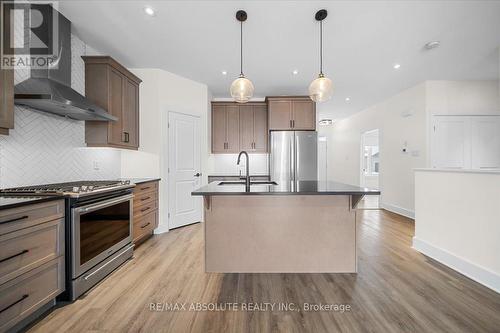 12 Elmer West Street, Mississippi Mills, ON - Indoor Photo Showing Kitchen With Upgraded Kitchen