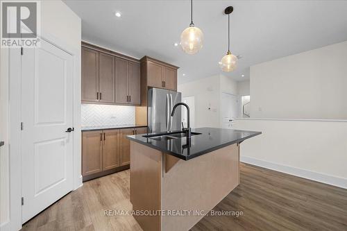 12 Elmer West Street, Mississippi Mills, ON - Indoor Photo Showing Kitchen With Upgraded Kitchen