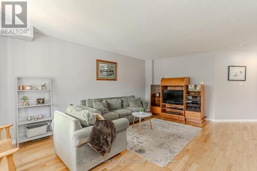 48 Loon Avenue, Barrie, ON - Indoor Photo Showing Living Room