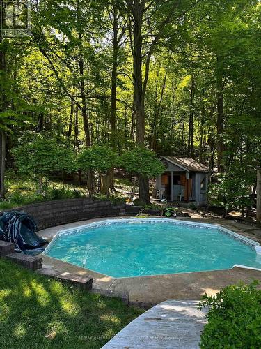 128 Wildwood Trail, Barrie, ON - Outdoor With In Ground Pool