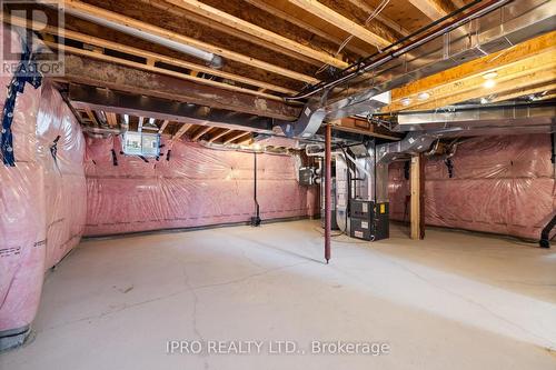 5 Cattail Crescent, Hamilton, ON - Indoor Photo Showing Basement